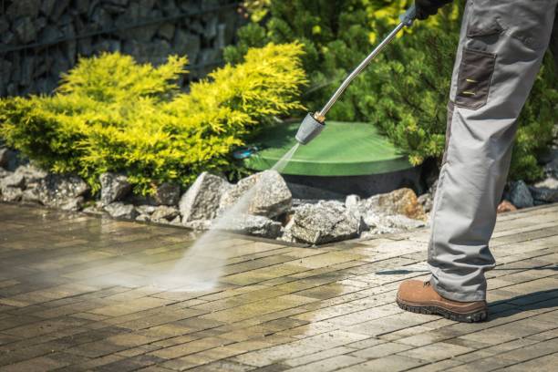 Best Solar Panel Cleaning  in Opa Locka, FL