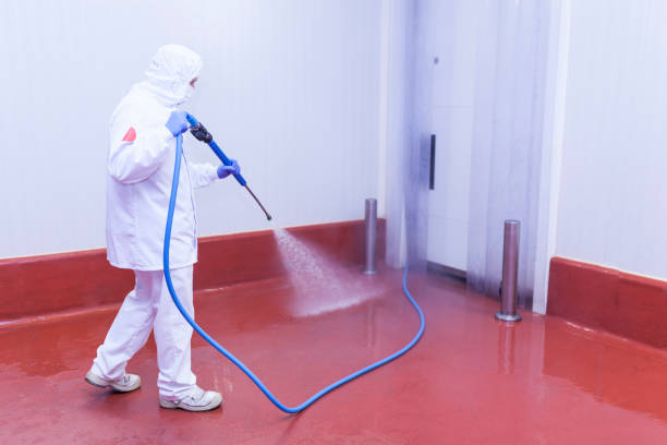 Best Warehouse Cleaning  in Opa Locka, FL
