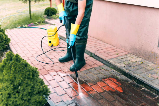 Professional Pressure Washing in Opa Locka, FL